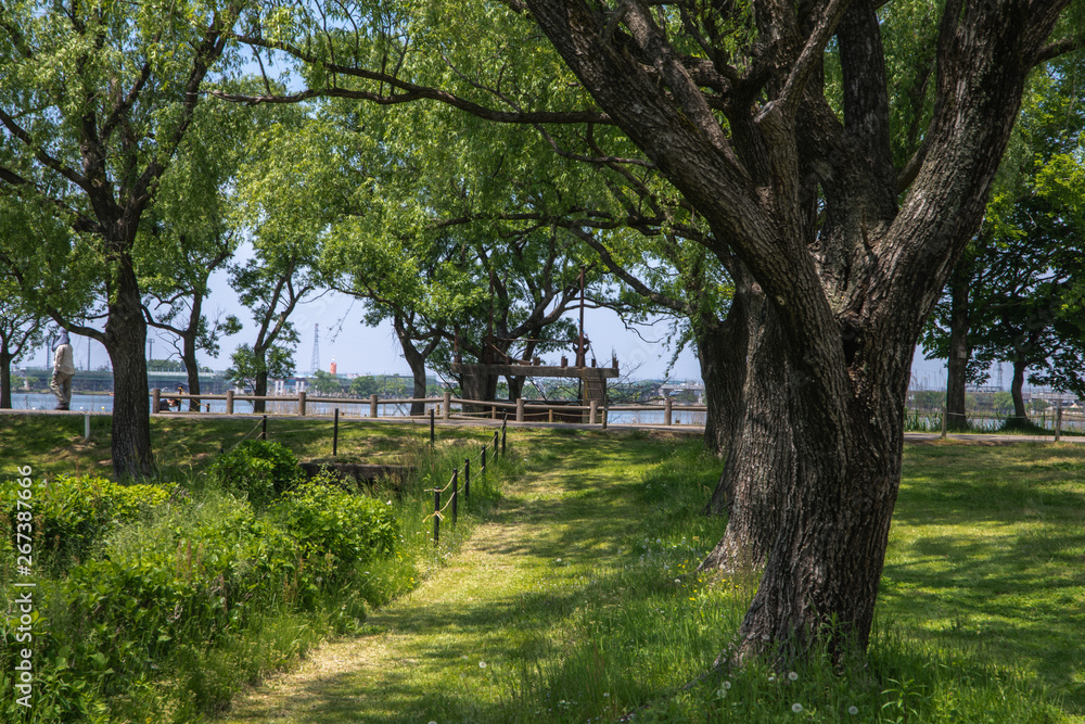 Obraz premium 湖畔の公園