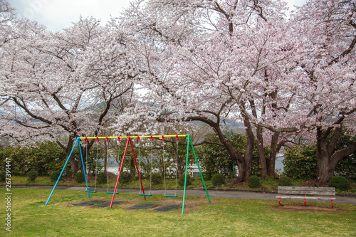 Wallpaper Mural playground in the park Torontodigital.ca
