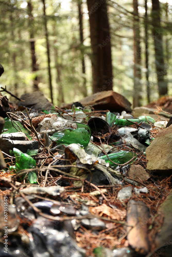 Garbage dump in forest, environmental pollution by plastic. Garbage dump in forest, environmental pollution by plastic.