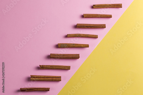 row of cinnamon sticks from above on a bright yellow and pink background. copy space