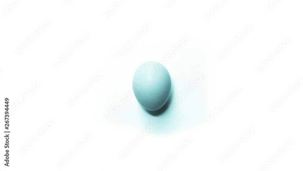 different colored eggs on white background different colored eggs on white background
