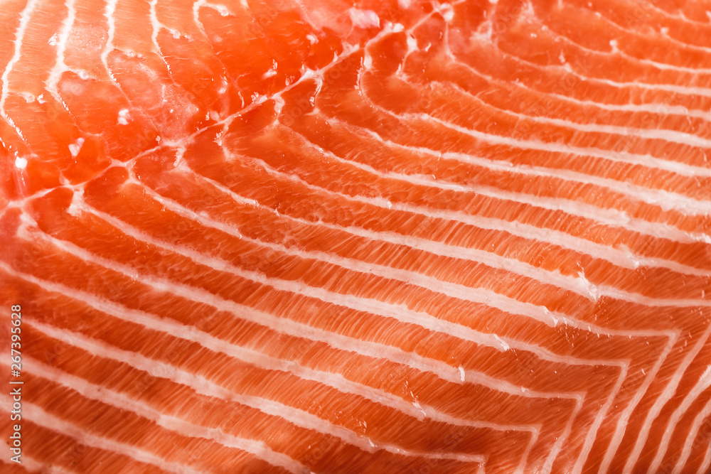 Fresh raw salmon fish steak with spices on ice over dark stone background. Creative layout made of fish, macro