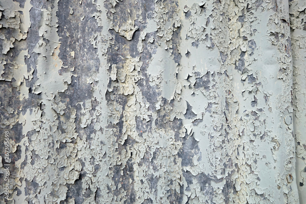 Fototapeta premium Extremely weathered painted metal corrugated steel surface 