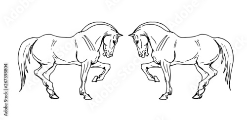 vector isolated image of prancing drawn heavy horses on white background 