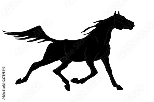 drawn silhouette of a black horse running at a trot with a developing mane and tail, isolated on a white background 