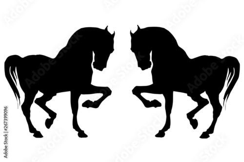 vector isolated prancing silhouettes, black horses on a white background