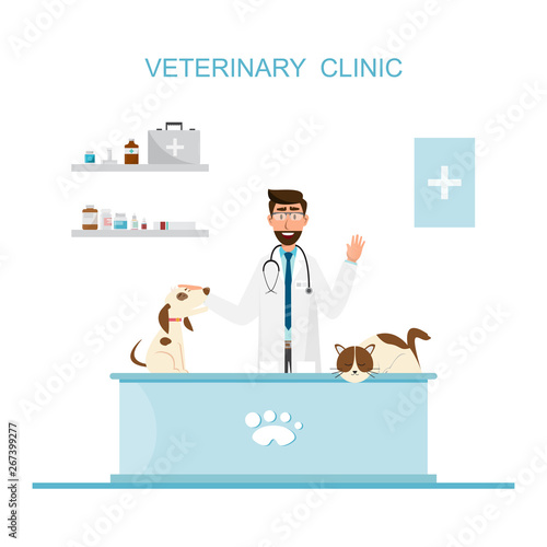 Veterinarian and doctor with pet on counter in vet clinic.