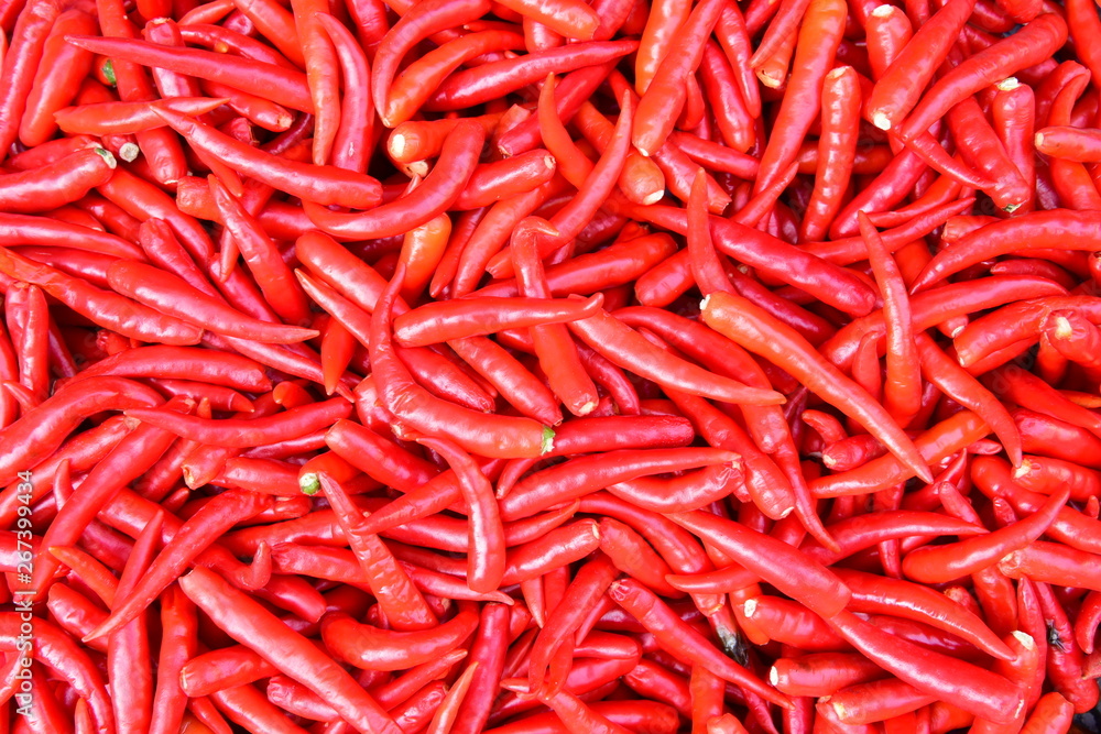 Fototapeta premium Chili agricultural product in the food stall at the local market, Korat province in Thailand.