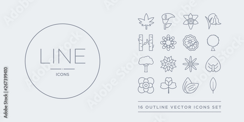 16 line vector icons set such as acicular, almond, alstroemeria, anemone, anthurium contains aster, astrantia, baobab, beech. acicular, almond, alstroemeria from nature outline icons. thin, stroke