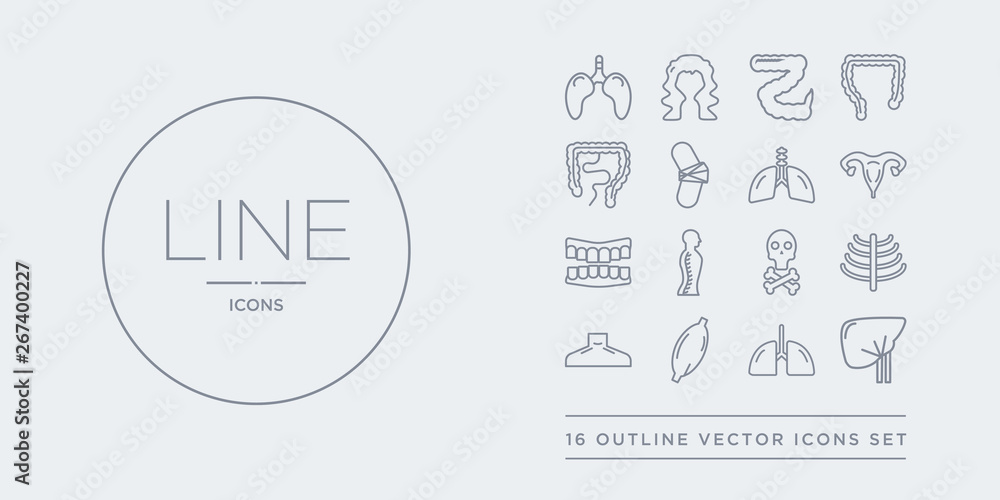 Φωτογραφία 16 line vector icons set such as human liver, human lungs, human muscle, neck, ribs contains skull with crossed bones, spine, teeth, uterus