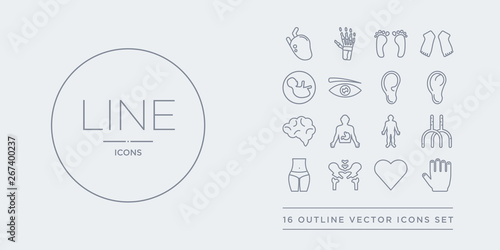 16 line vector icons set such as hand showing palm, heart black for valentines, hip bone, human abdomen, human artery contains human body standing black, body with x ray plate focusing on stomach,