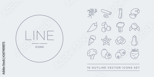 16 line vector icons set such as blackberry, berries, breast milk fruit, broccoli, butternut squash contains cabbage, carambola, carrots, cauliflower. blackberry, berries, breast milk fruit from