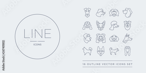 16 line vector icons set such as afghan hound dog, akita dog, alaskan klee kai dog, american eskimo american hairless terrier contains american leopard hound water spaniel anatolian shepherd