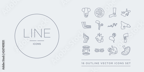 16 line vector icons set such as stomach flu, stomach ulcers, strabismus, strep throat, streptococcal infection contains stroke, swine influenza, synovitis, syphilis. stomach flu, ulcers, strabismus
