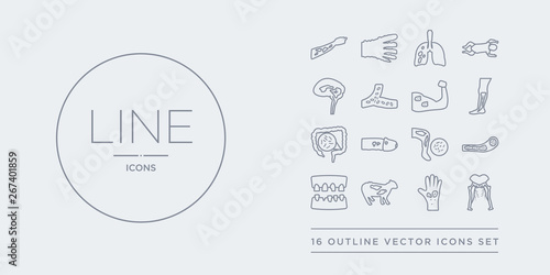 16 line vector icons set such as sciatica, scleroderma, scrapie, scurvy, sepsis contains septicemia, sexually transmitted diseases, shigellosis, shin splints. sciatica, scleroderma, scrapie from
