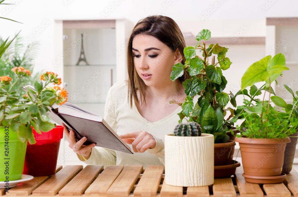 Young female gardener with plants indoors