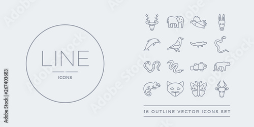 16 line vector icons set such as bull, butterfly, cat, chameleon, cheetah contains clown fish, copperhead, coral snake, cottonmouth. bull, butterfly, cat from animals outline icons. thin, stroke © t-vector-icons