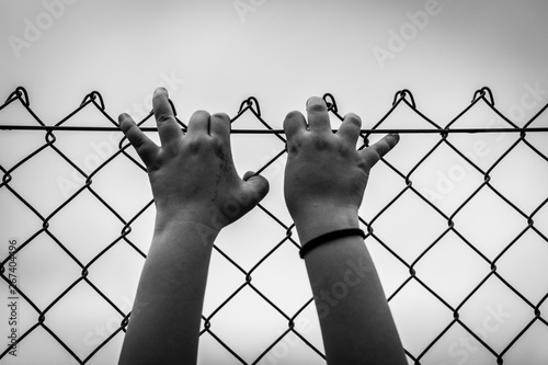 Hands of freedom photo