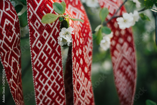 Lielvardes belt in spring