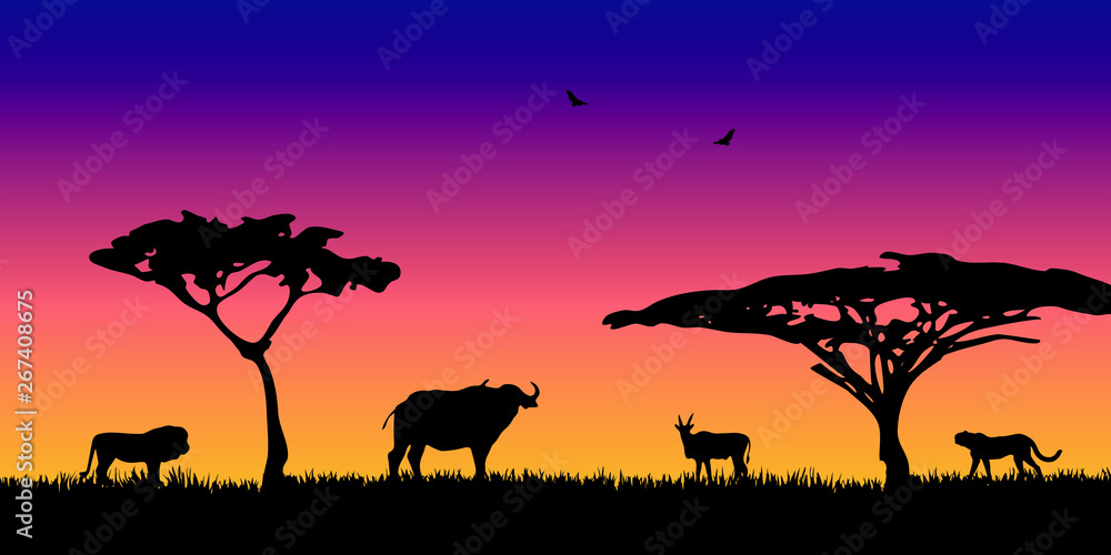 Landscape of African savannah. Silhouette of animals in wild nature