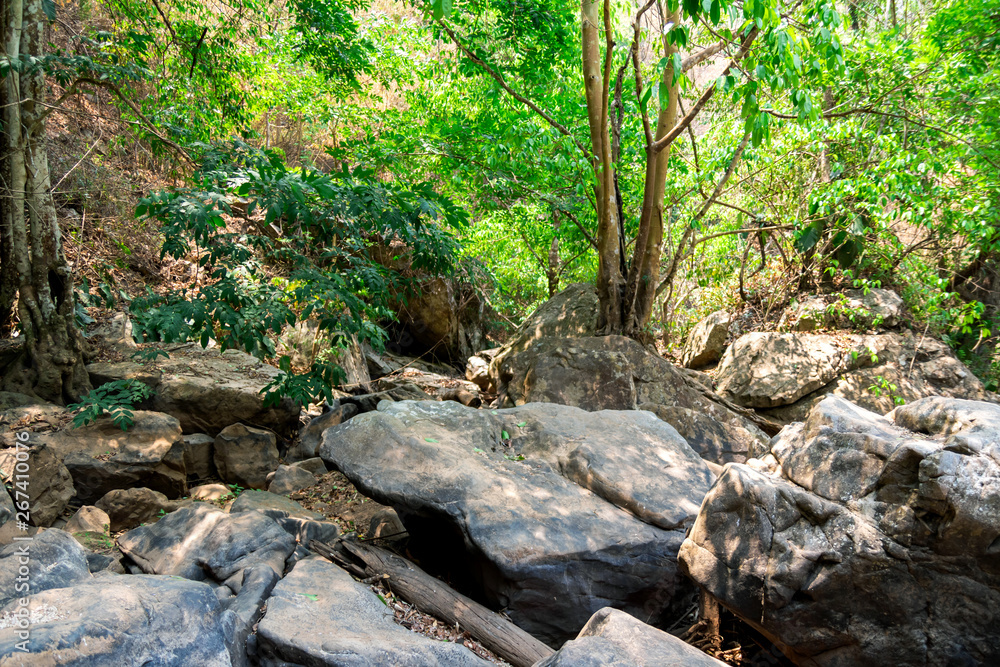 large boulders in the forest large boulders in the forest