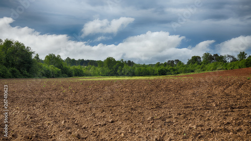 "Dirt Work" freshly plowed and planted farmers field in the Blue Ridge Mountains ZDS Americana Landscapes Collection