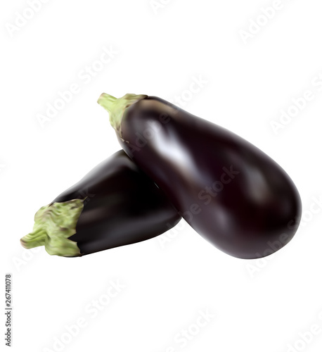 Photo realistic vector eggplant transparent background (mesh technique)