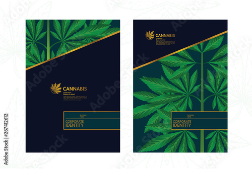 Elegant green cannabis leaf Background vector illustration.