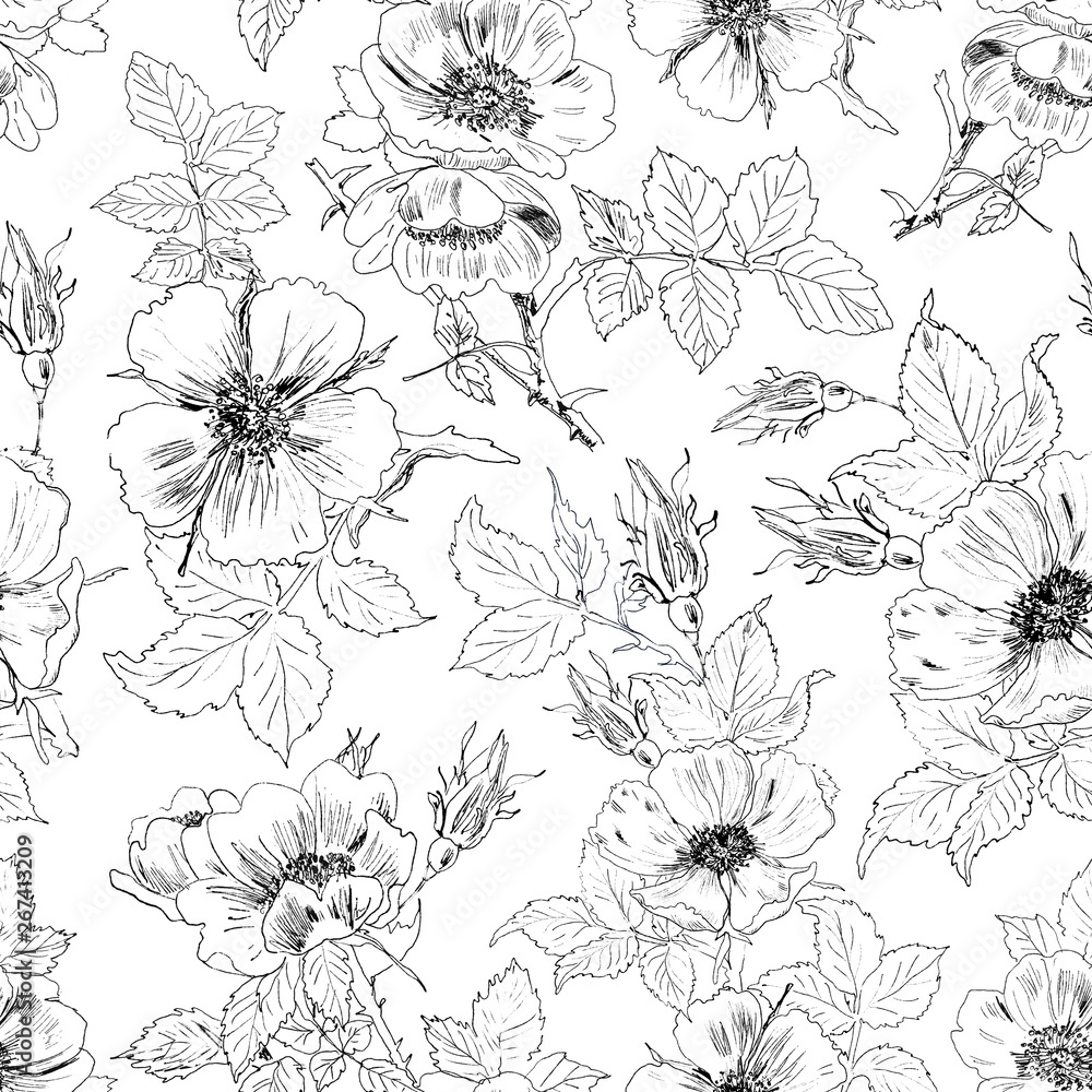 Fototapeta premium Seamless floral background with rosehips. Hand-drawn pattern with flowers.