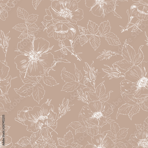Seamless floral background with rosehips. Hand-drawn pattern with flowers.