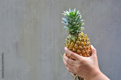 Fresh and beautiful pineapple fruit 
