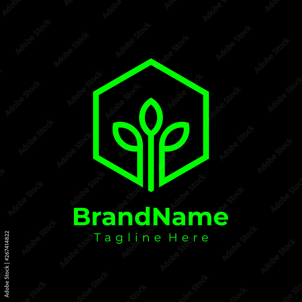 custom made wallpaper toronto digitalHexagon Green Nature Logo Ecology Logo Flat Vector Illustration