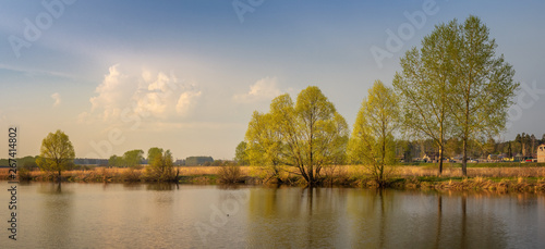 eevening landscape on the Ural river with trees on the shore, Russia, may