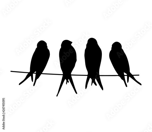 silhouette of birds on a wire 