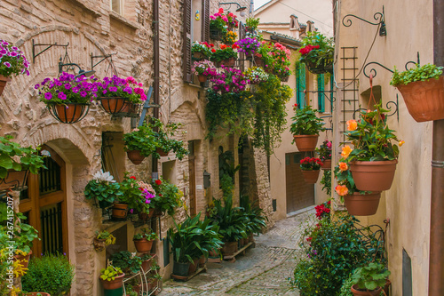 Vicolo fiorito nel borgo medievale di Spello in Umbria