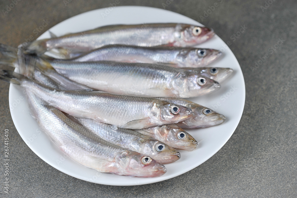Raw smelt fish on white plate. Gray background. View from above. Close-up. Raw smelt fish on white plate. Gray background. View from above. Close-up.