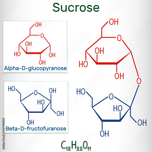 Sucrose sugar molecule. Structural chemical formula and molecule model