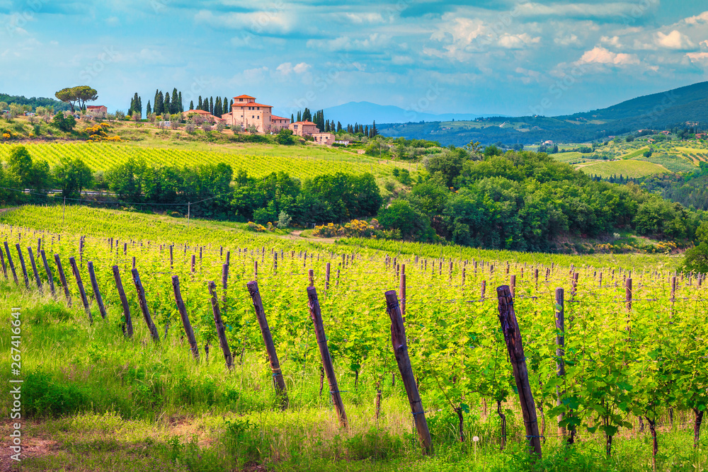 Beautiful green vineyard landscape and house on the hill, Italy