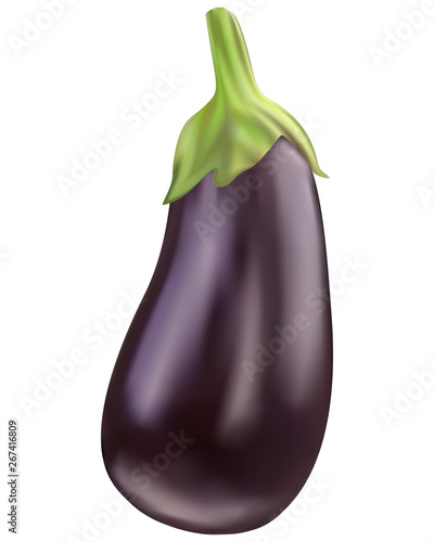 Photo realistic vector eggplant transparent background (mesh technique)