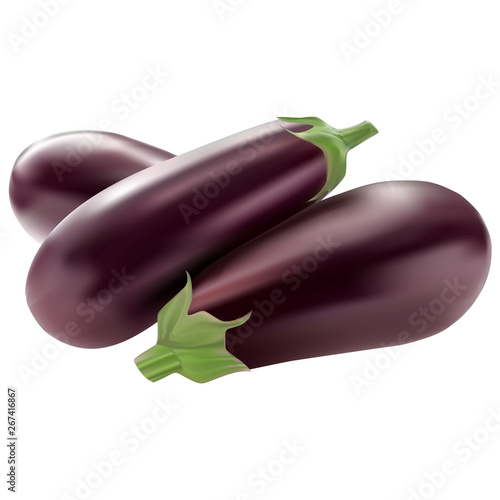 Photo realistic vector eggplant transparent background (mesh technique)