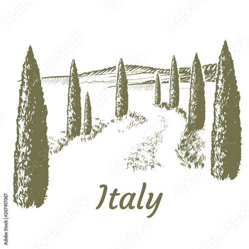 Old wooden farmers gate. Mediterranean landscape with cypresses.