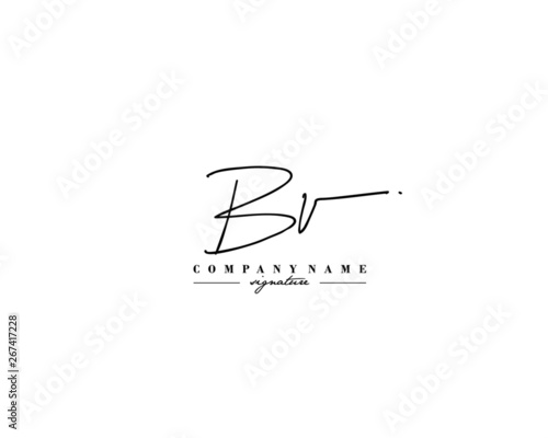 B V BV Signature initial logo template vector