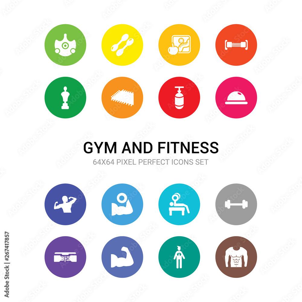 16 gym and fitness vector icons set included abs, anatomy, arm, athletic strap, barbell, bench press, biceps, bodybuilder, bosu ball, boxing bag, yoga mat icons 16 gym and fitness vector icons set included abs, anatomy, arm, athletic strap, barbell, bench press, biceps, bodybuilder, bosu ball, boxing bag, yoga mat icons