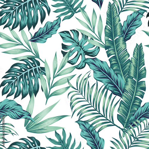 Seamless pattern tropical composition white background