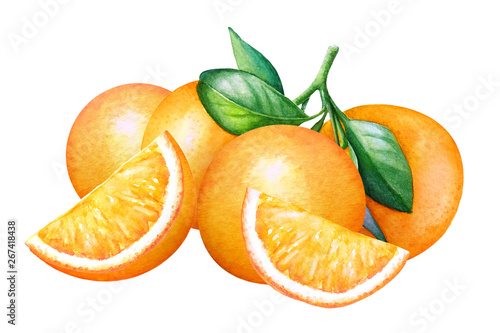 Watercolor composition with orange fruits and green leaves