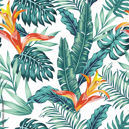 Seamless pattern tropical leaves flowers white background