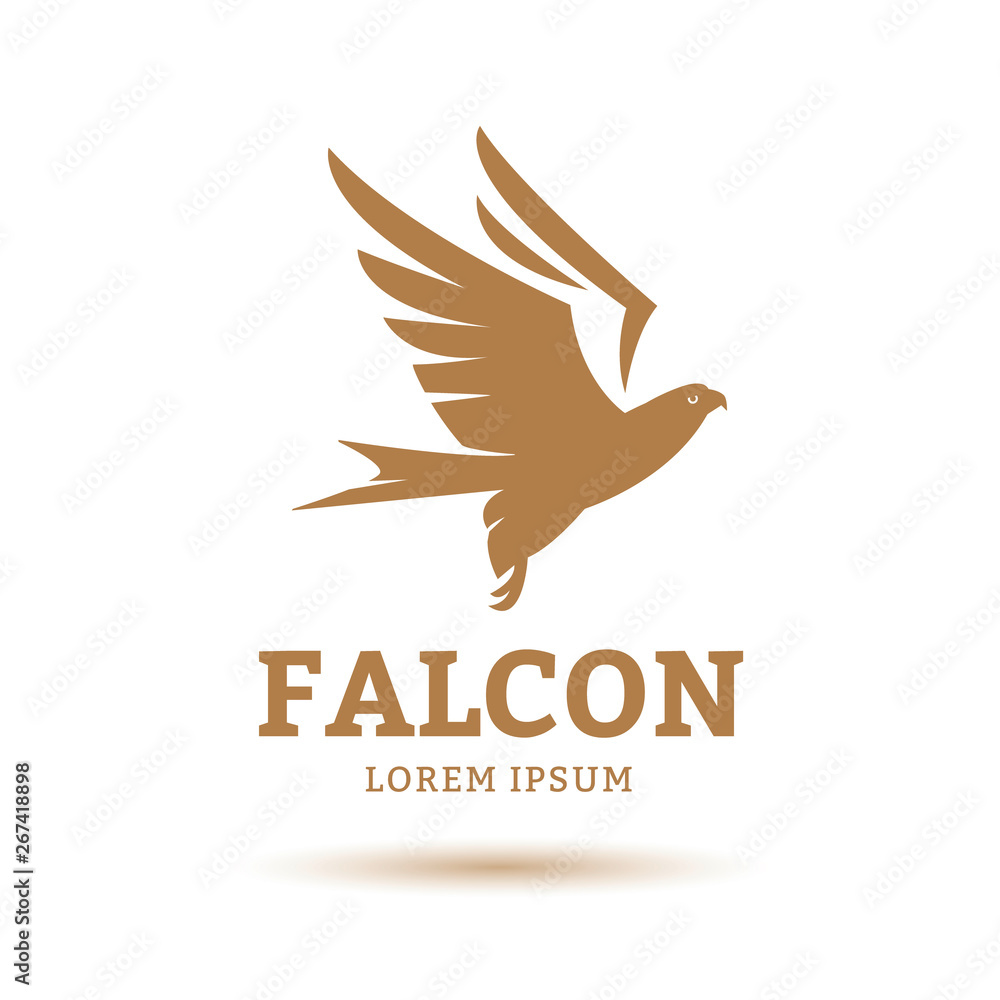 Fototapeta premium Falcon Eagle Bird Logo Template vector icon