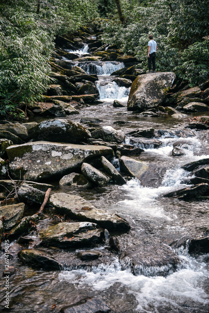 Creek in Great Smoky Mountains National Park on the Border of Tennessee and North Carolina Creek in Great Smoky Mountains National Park on the Border of Tennessee and North Carolina