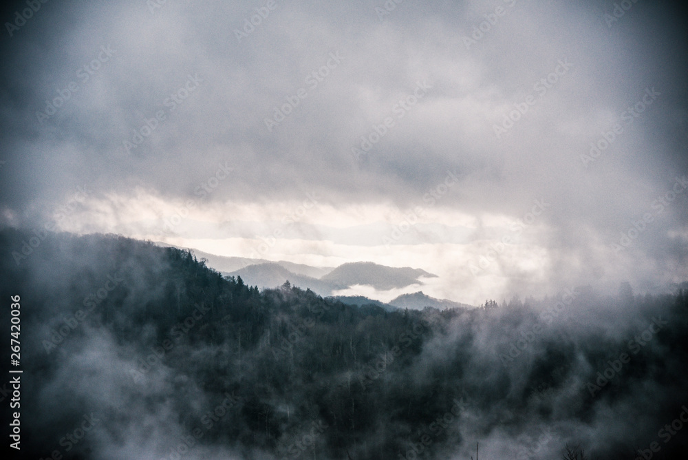 Cloudy Day in Great Smoky Mountains National Park on the Border of Tennessee and North Carolina  