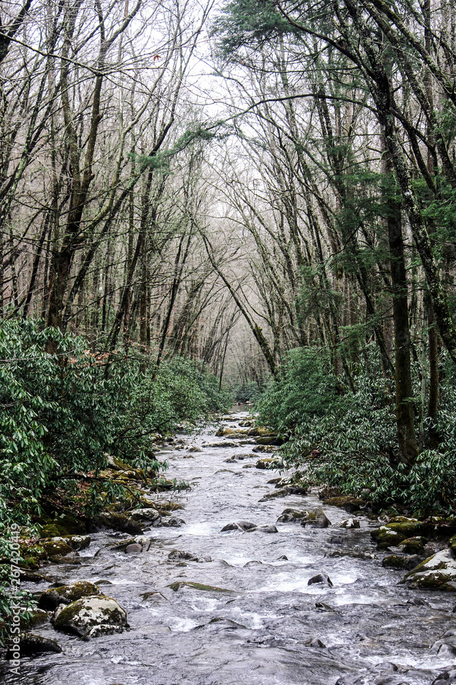 River in Great Smoky Mountains National Park on the Border of Tennessee and North Carolina River in Great Smoky Mountains National Park on the Border of Tennessee and North Carolina